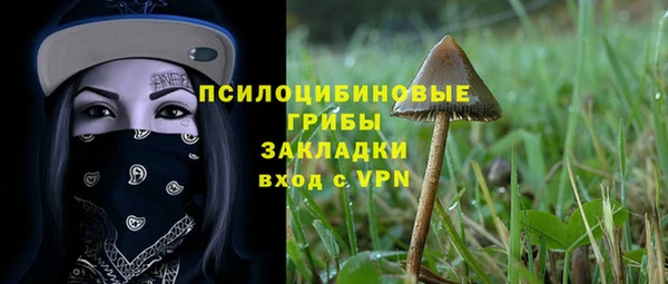 spice Алексин