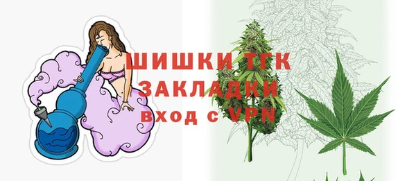 дмт Алзамай