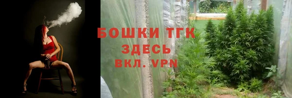 дмт Алзамай