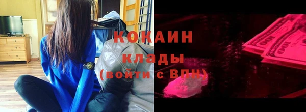 дмт Алзамай