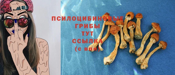 дмт Алзамай