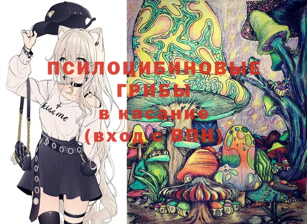 хмурый Алексеевка